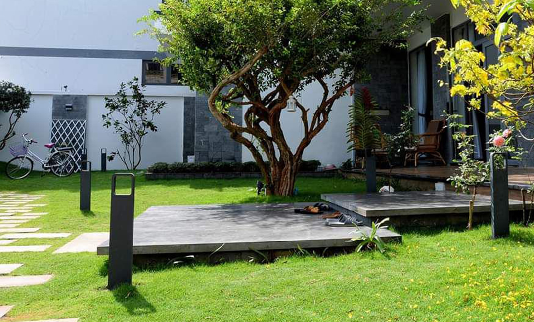 den-tru-san-vuon-janus